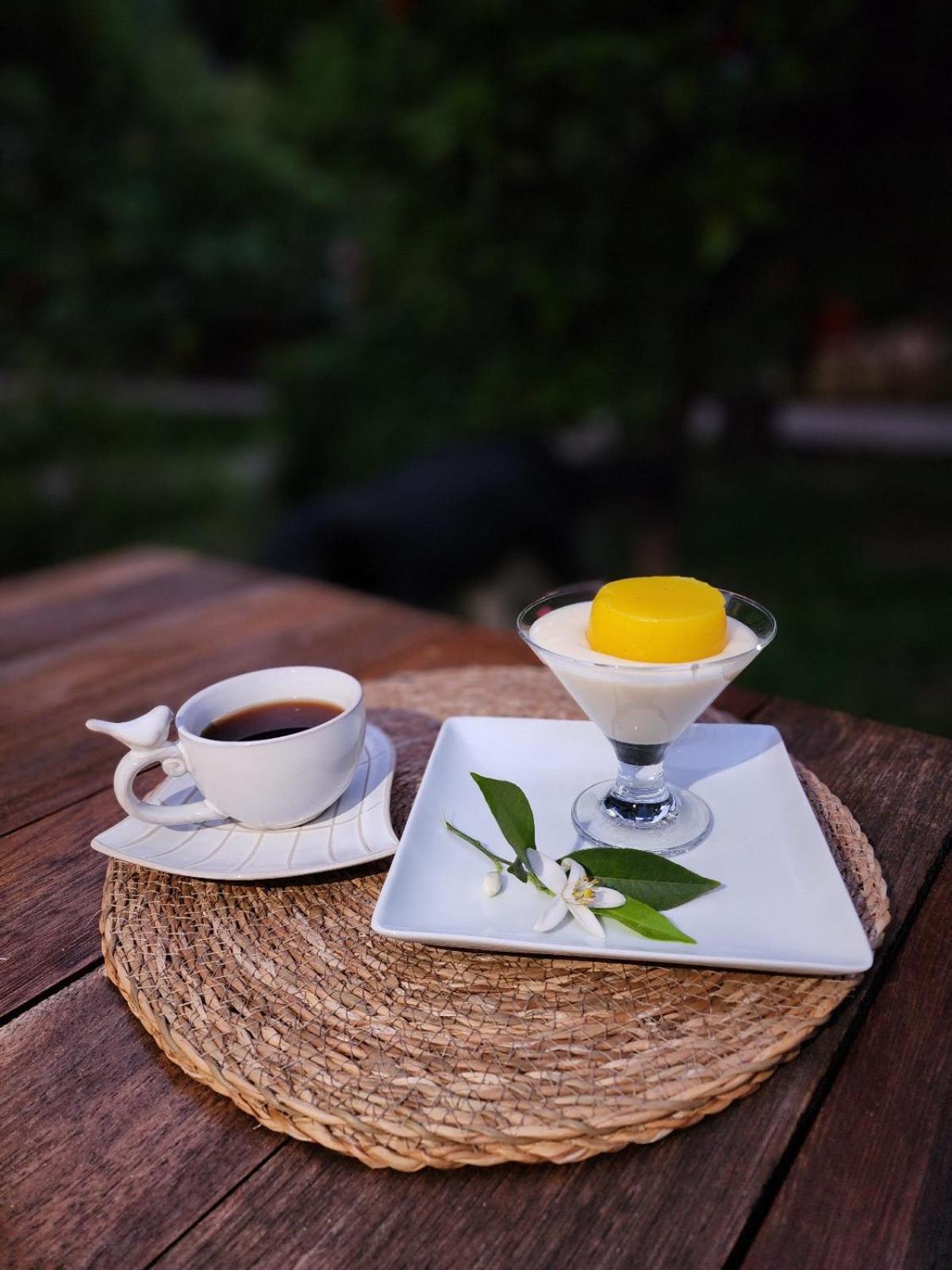 Portalimo Lodge Hotel - Adult Only +12 Çıralı Exterior foto