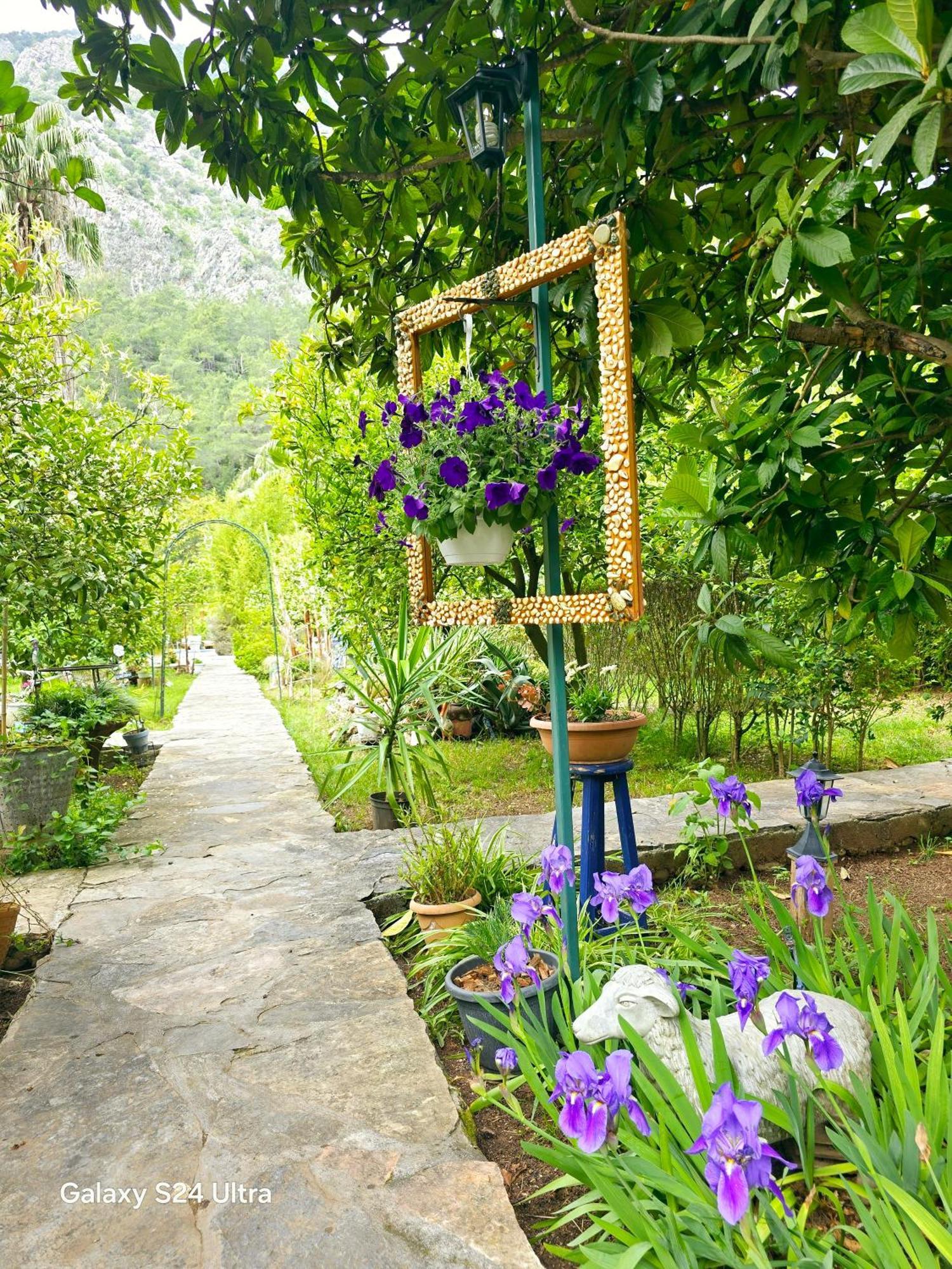 Portalimo Lodge Hotel - Adult Only +12 Çıralı Exterior foto