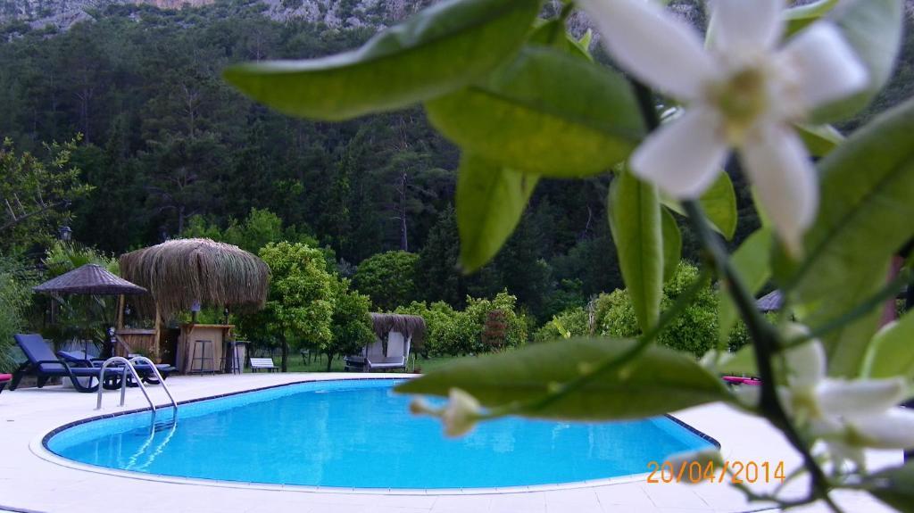 Portalimo Lodge Hotel - Adult Only +12 Çıralı Exterior foto